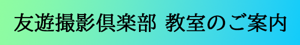 リンクページはコチラから