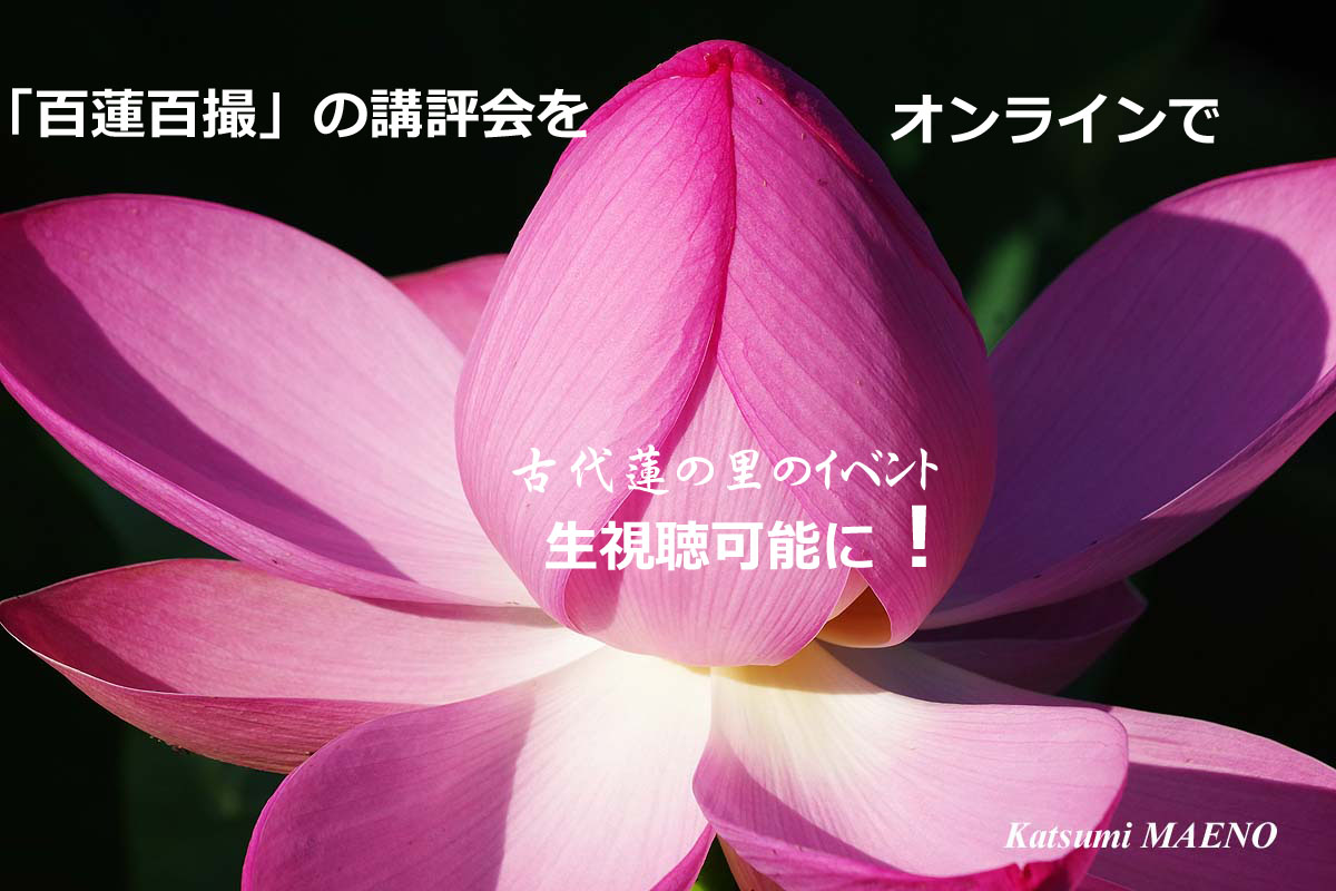 2023年6月24日（土）古代蓮の里イベント、今まで遠方で参加できなかった人必見 「百蓮百撮」の講評会をオンラインで生視聴可能に！