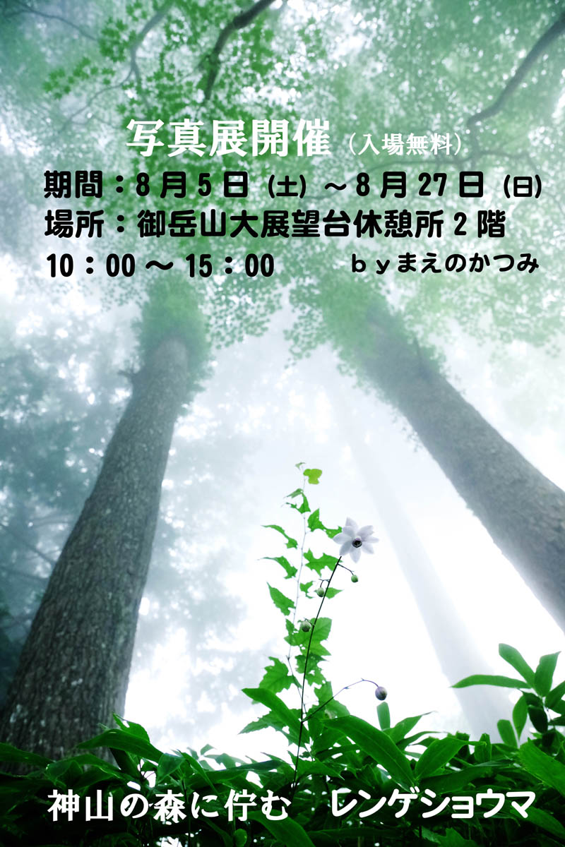 東京都青梅市の御岳山（みたけさん）の大展望休憩所2階にて8月5日（土）～27日（日）まで毎日10：00～15：00に「神山に佇むレンゲショウマ」写真展を行います。